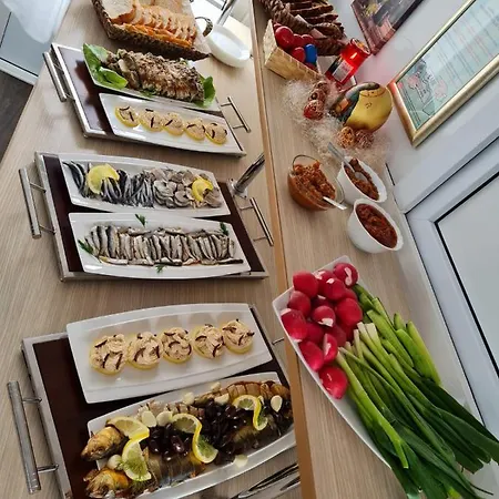 Hotel Plutitor Casa Pescarilor Sulina