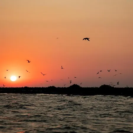 מלון Hotel Plutitor Casa Pescarilor Sulina